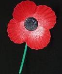 Buttonhole Poppy Buttonhole Poppy