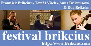 Festival Brikcius poster Festival Brikcius poster