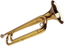 shiny bugle shiny bugle