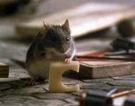 Alan Silvestri - Mousehunt picture 2 Alan Silvestri - Mousehunt picture 2