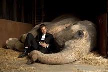 James Newton Howard - Water for Elephants picture 3 James Newton Howard - Water for Elephants picture 3