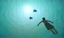 Laurent Perez del Mar: The Red Turtle - image 1 Laurent Perez del Mar: The Red Turtle - image 1