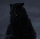 Patrick Doyle - Brave image 5 Patrick Doyle - Brave image 5