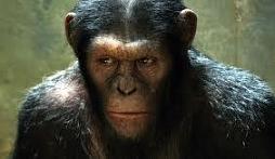 Patrick Doyle - Rise of the Planet of the Apes picture 1 Patrick Doyle - Rise of the Planet of the Apes picture 1