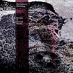 Patrick Doyle: Radiophonic Workshop: Burials in Several Earths - album cover Radiophonic Workshop: Burials in Several Earths - album cover